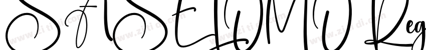 SASELOMO Regular字体转换